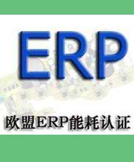 ERP认证咨询